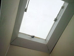 roof_access02